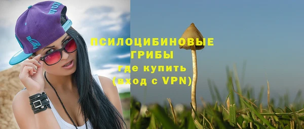 крисы Богданович