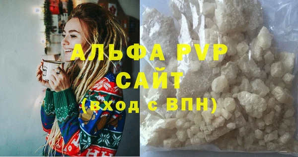 spice Богородицк