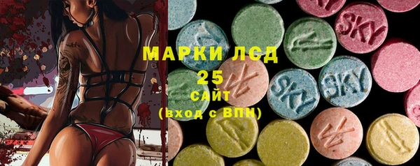 spice Богородицк