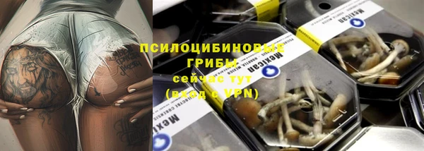 spice Богородицк