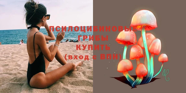 spice Богородицк