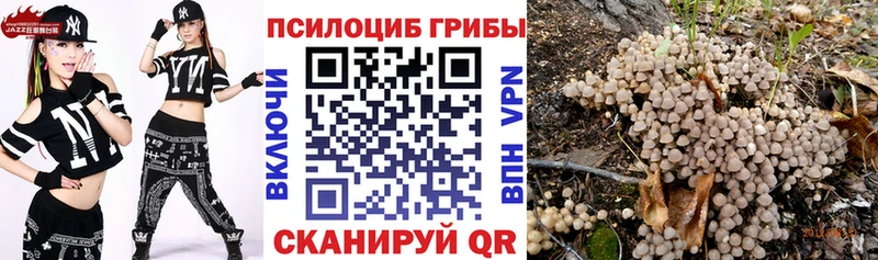 как найти закладки Бородино ОМГ ОМГ ССЫЛКА Псилоцибиновые грибы мухоморы